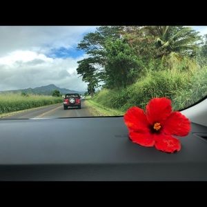 Meet your Posher, Kaiya